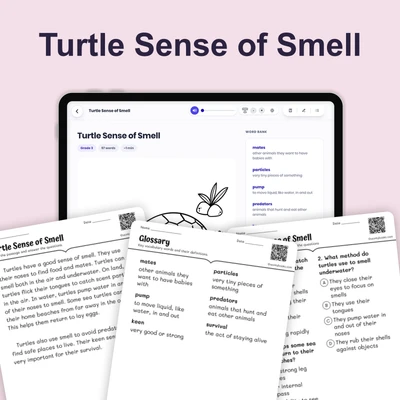 Turtle Sense of Smell - reading educational content