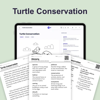 Turtle Conservation - reading educational content