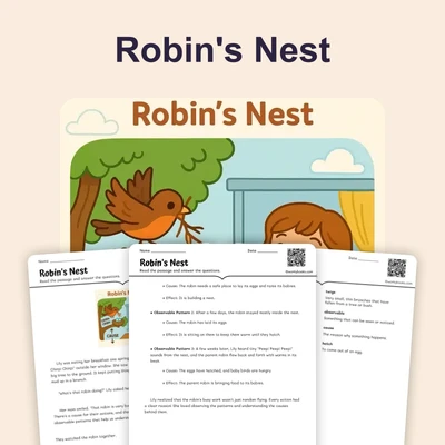 Robin's Nest - reading educational content