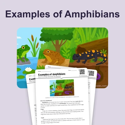 Examples of Amphibians - reading educational content