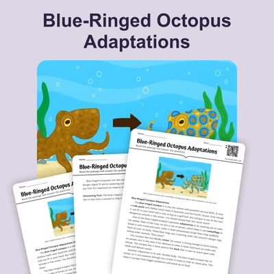 Blue-Ringed Octopus Warning Coloration - reading educational content