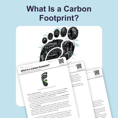What Is A Carbon Footprint - reading educational content