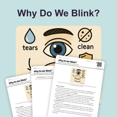 Why Do We Blink? - reading educational content