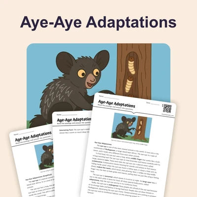 The Aye-Aye's Special Finger for Finding Food - reading educational content