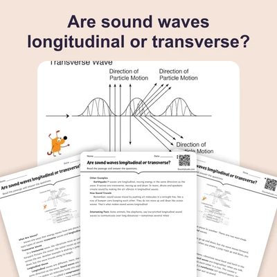Are sound waves longitudinal or transverse? - reading educational content
