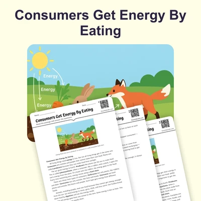 Consumers Get Energy By Eating - reading educational content