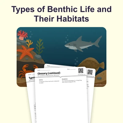 Types of Benthic Life - reading educational content