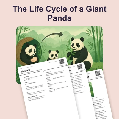 The Life Cycle of a Giant Panda - reading educational content