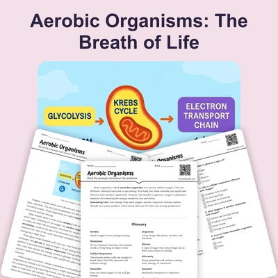Aerobic Organisms - reading educational content