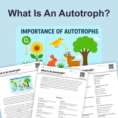 What Is An Autotroph? - reading educational content