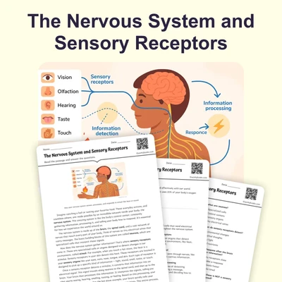 The Nervous System and Sensory Receptors - reading educational content