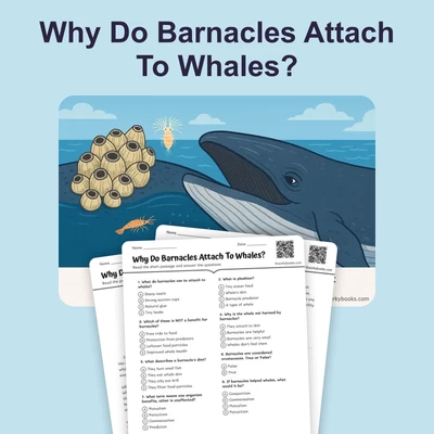 Why Do Barnacles Attach To Whales? - reading educational content