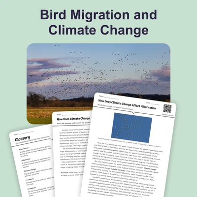 Bird Migration and Climate Change - reading educational content