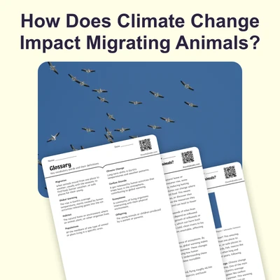 How Does The Climate Affect Animal Migration Patterns - reading educational content