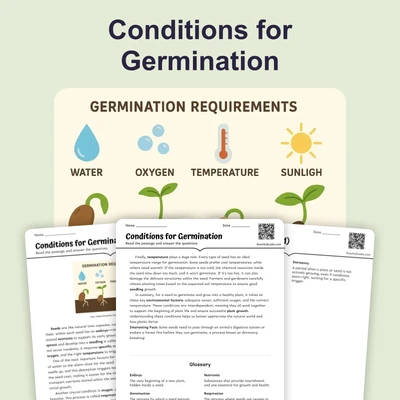 Conditions for Germination - reading educational content