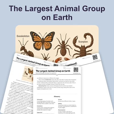 The Largest Animal Group on Earth - reading educational content