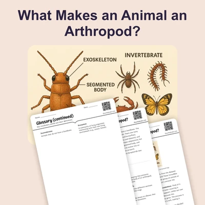 What Makes an Animal an Arthropod? - reading educational content
