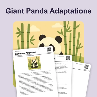 Giant Panda Adaptations - reading educational content
