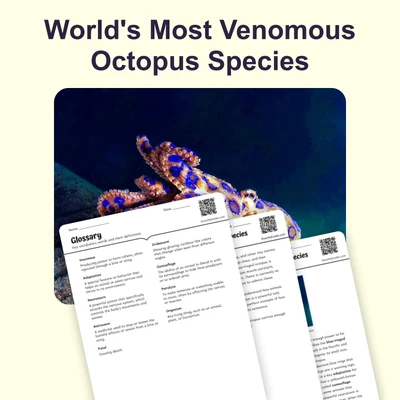 World's Most Venomous Octopus Species - reading educational content