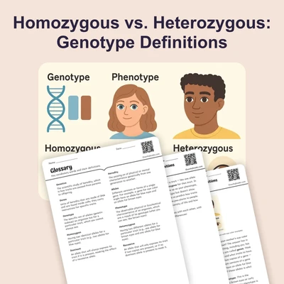 Homozygous vs. Heterozygous: Genotype Definitions - reading educational content