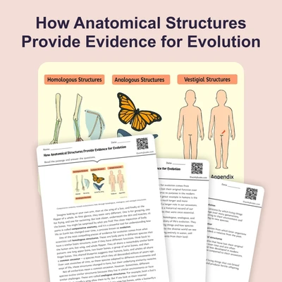 How Anatomical Structures Provide Evidence for Evolution - reading educational content