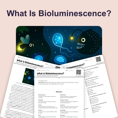 What Is Bioluminescence? - reading educational content