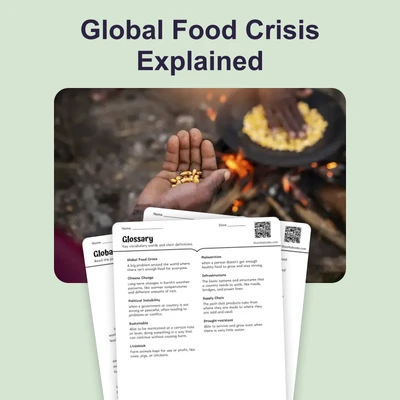 Global Food Crisis Explained - reading educational content