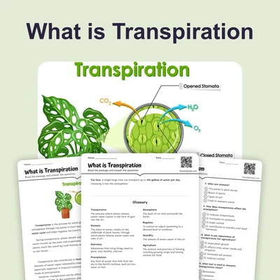 What is Transpiration - reading educational content