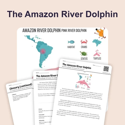 The Amazon River Dolphin - reading educational content