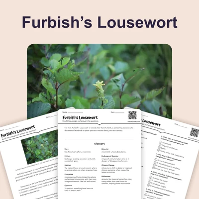 Furbish’s Lousewort - reading educational content