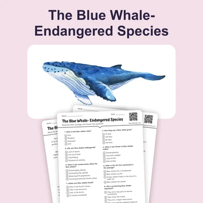 The Blue Whale- Endangered Species - reading educational content