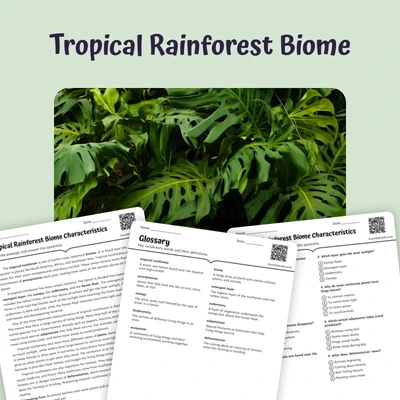 Tropical Rainforest Biome reading passage for grades 5 to 8