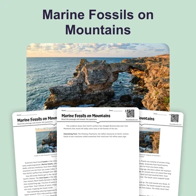 Marine Fossils on Mountains - reading educational content