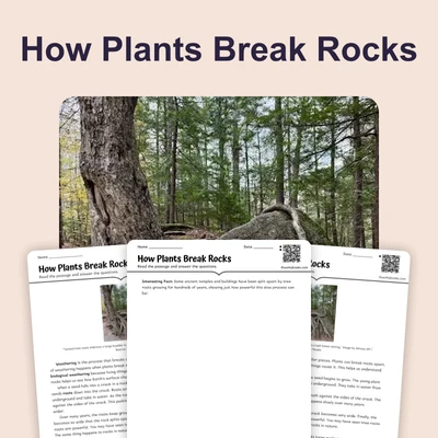 Plant Roots Break Rocks Apart - reading educational content