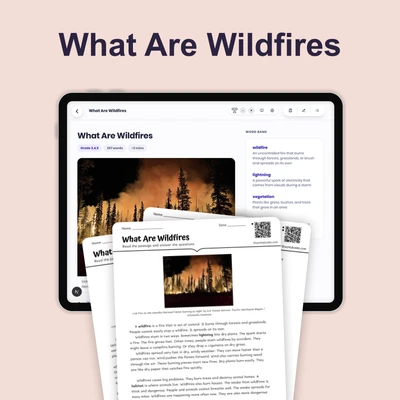 What Are Wildfires - reading educational content