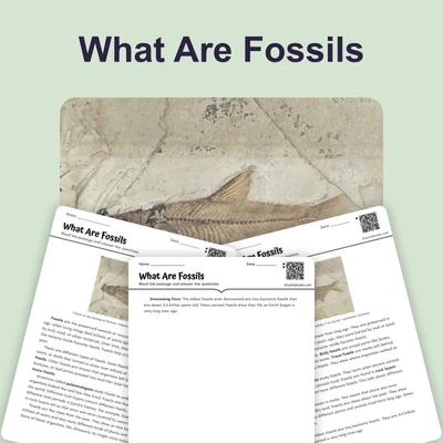What Are Fossils - reading educational content