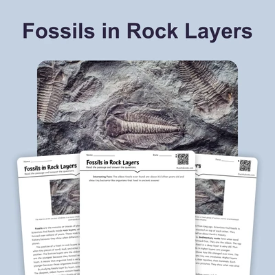 Fossils in Rock Layers - reading educational content