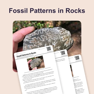 Fossil Patterns - reading educational content