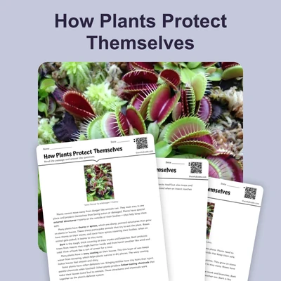 How Plants Survive - reading educational content