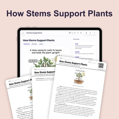 How Stems Support Plants - reading educational content