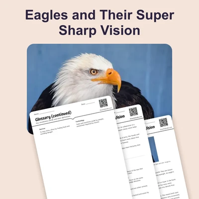 Eagles and Their Super Sharp Vision - reading educational content