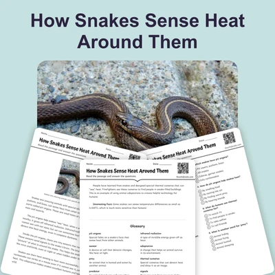 How Snakes Sense Heat - reading educational content