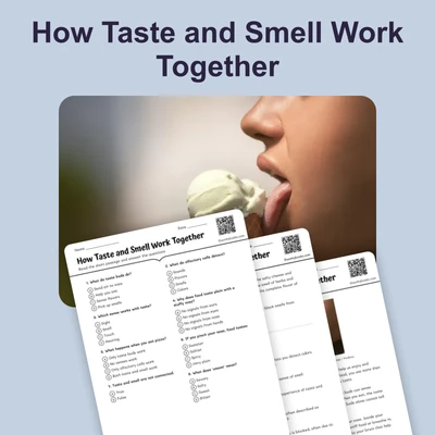 How Taste and Smell Work Together - reading educational content