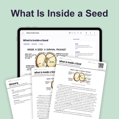 What Is Inside a Seed - reading educational content