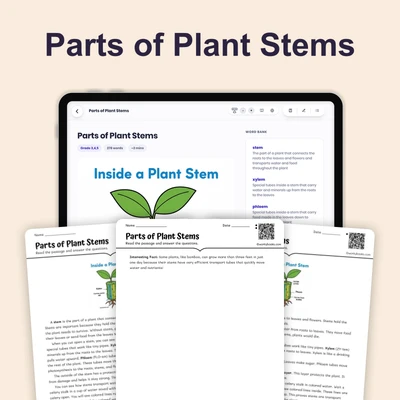 Parts of Plant Stems - reading educational content