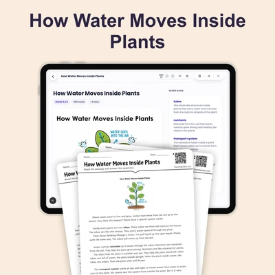 How Water Moves Inside Plants - reading educational content