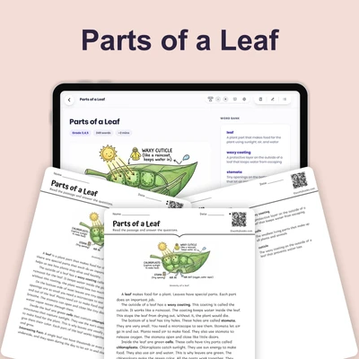 Parts of a Leaf - reading educational content