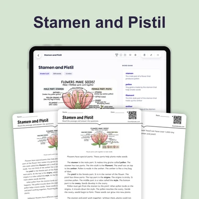 Stamen and Pistil - reading educational content