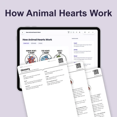 How Animal Hearts Work - reading educational content