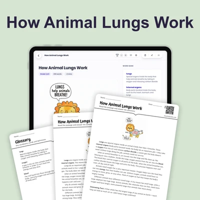 How Animal Lungs Work - reading educational content